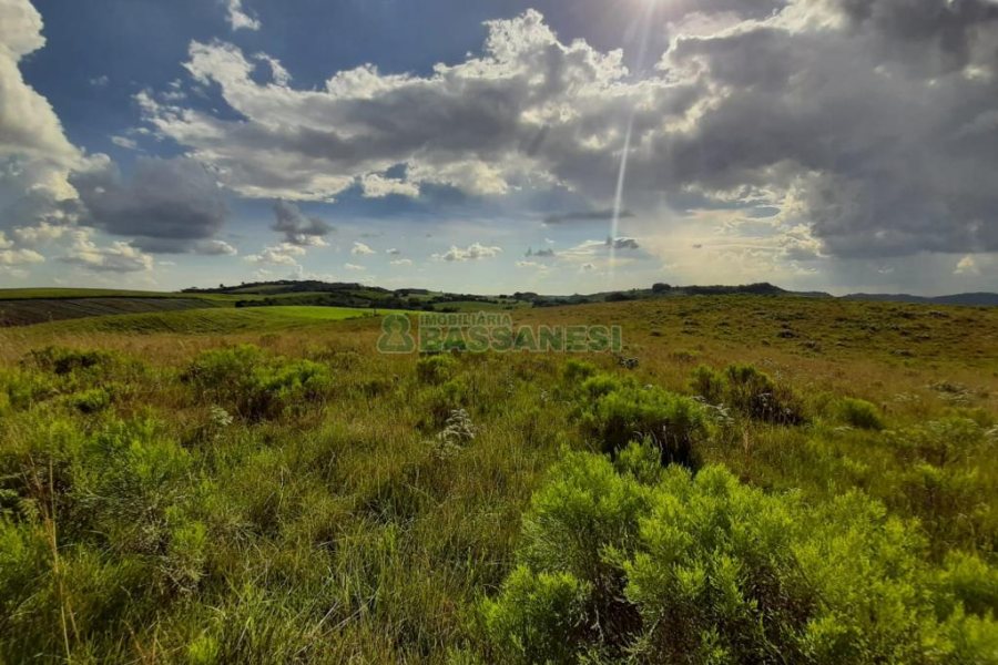 Terreno com 550000m², no bairro Vila Seca em Caxias do Sul para Comprar
