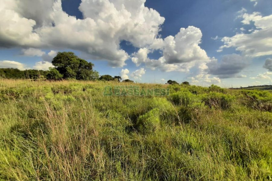 Terreno com 550000m², no bairro Vila Seca em Caxias do Sul para Comprar