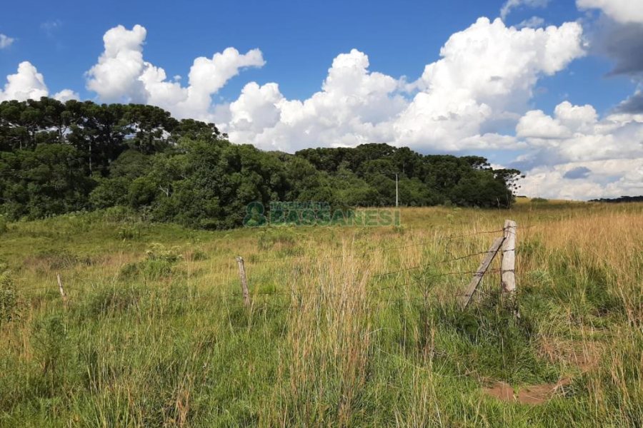 Terreno com 550000m², no bairro Vila Seca em Caxias do Sul para Comprar