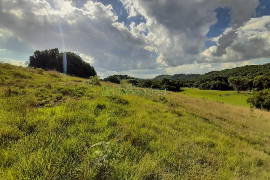 Terreno com 550000m², no bairro Vila Seca em Caxias do Sul para Comprar