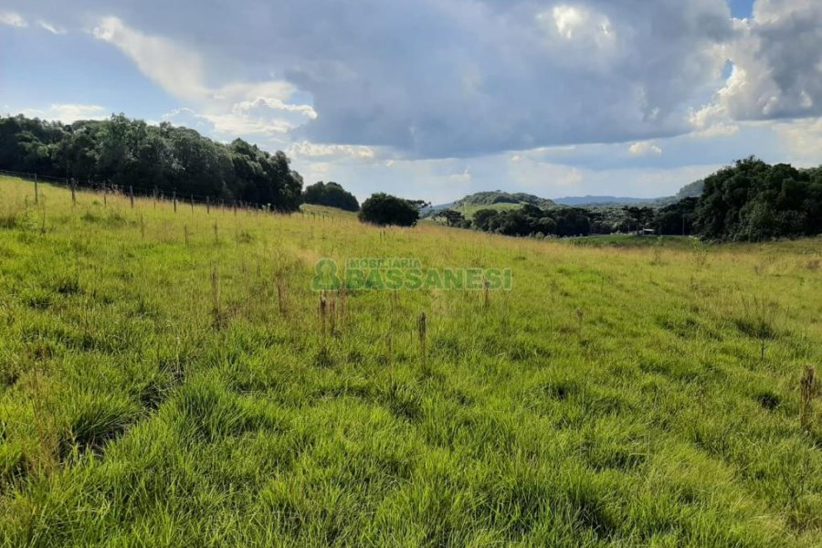 Terreno com 550000m², no bairro Vila Seca em Caxias do Sul para Comprar