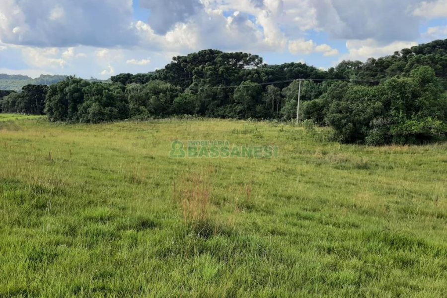 Terreno com 550000m², no bairro Vila Seca em Caxias do Sul para Comprar