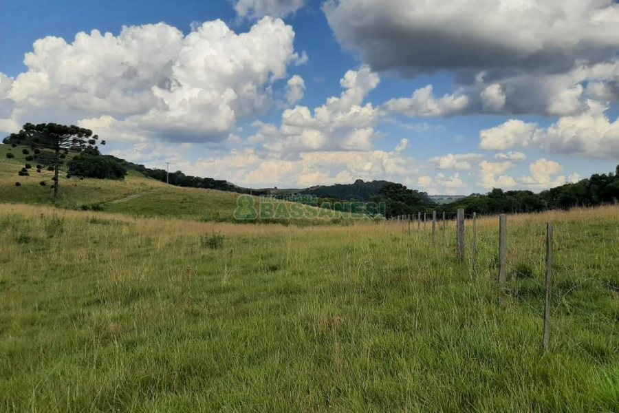 Terreno com 550000m², no bairro Vila Seca em Caxias do Sul para Comprar