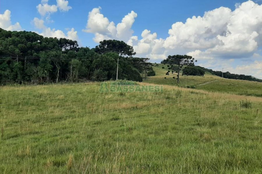 Terreno com 550000m², no bairro Vila Seca em Caxias do Sul para Comprar