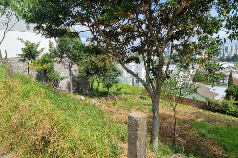Terreno, no bairro Cinqüentenário em Caxias do Sul para Comprar