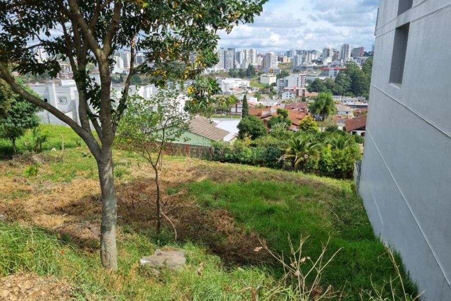 Terreno com 411m², no bairro Cinqüentenário em Caxias do Sul para Comprar
