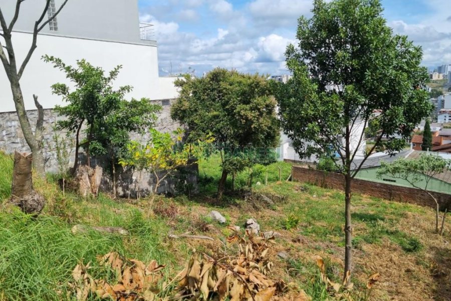 Terreno com 411m², no bairro Cinqüentenário em Caxias do Sul para Comprar