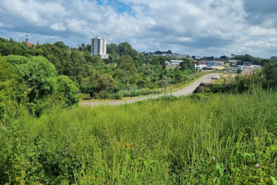 Terreno com 2790m², no bairro Sanvitto em Caxias do Sul para Comprar