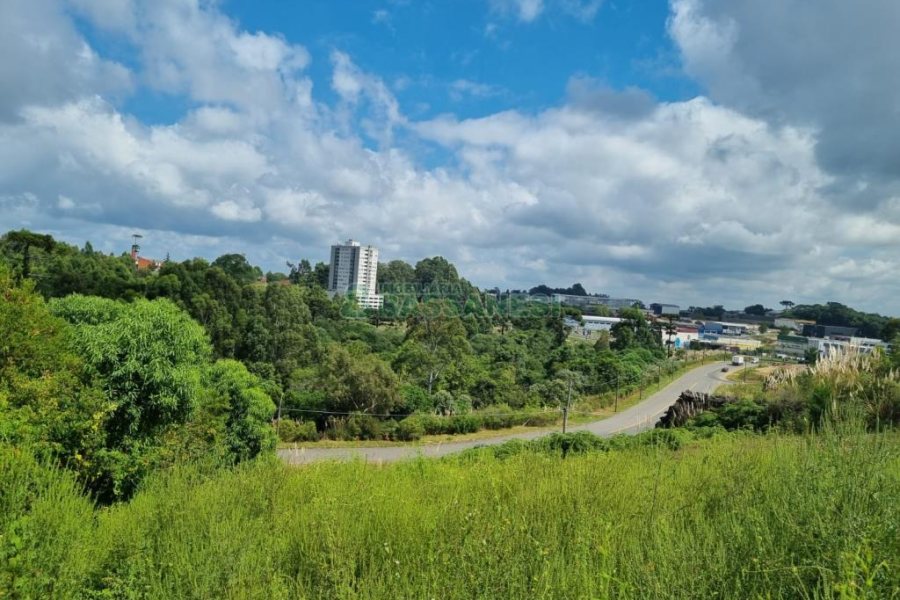 Terreno com 2790m², no bairro Sanvitto em Caxias do Sul para Comprar