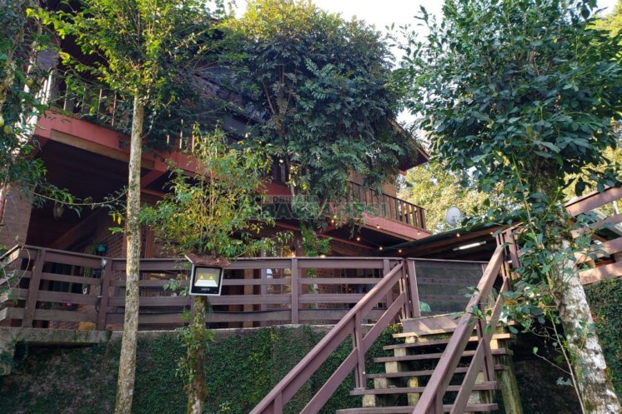 Chácara com 325m², 4 dormitórios, 3 vagas, no bairro Pedancino em Caxias do Sul para Comprar