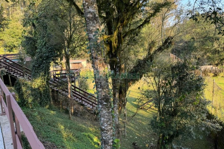 Chácara com 325m², 4 dormitórios, 3 vagas, no bairro Pedancino em Caxias do Sul para Comprar