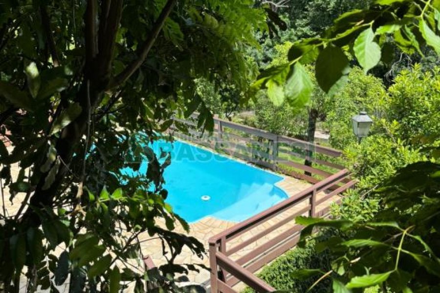 Chácara com 325m², 4 dormitórios, 3 vagas, no bairro Pedancino em Caxias do Sul para Comprar