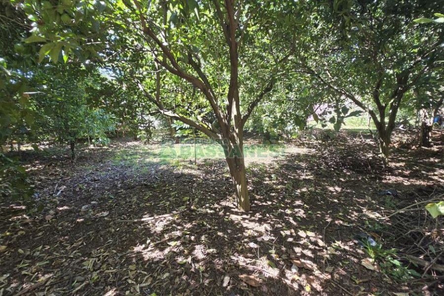 Casa com 500m², 4 dormitórios, 4 vagas, no bairro Esplanada em Caxias do Sul para Comprar