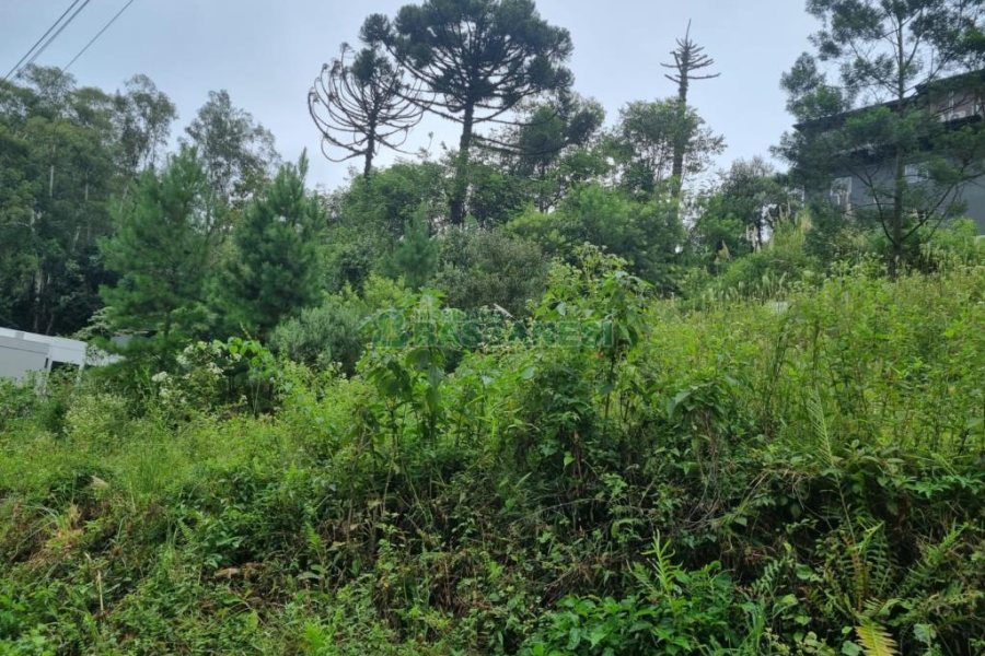Terreno com 516m², no bairro Bela Vista em Caxias do Sul para Comprar