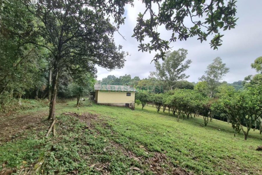 Chácara com 80m², 2 dormitórios, no bairro 3 Legua em Caxias do Sul para Comprar