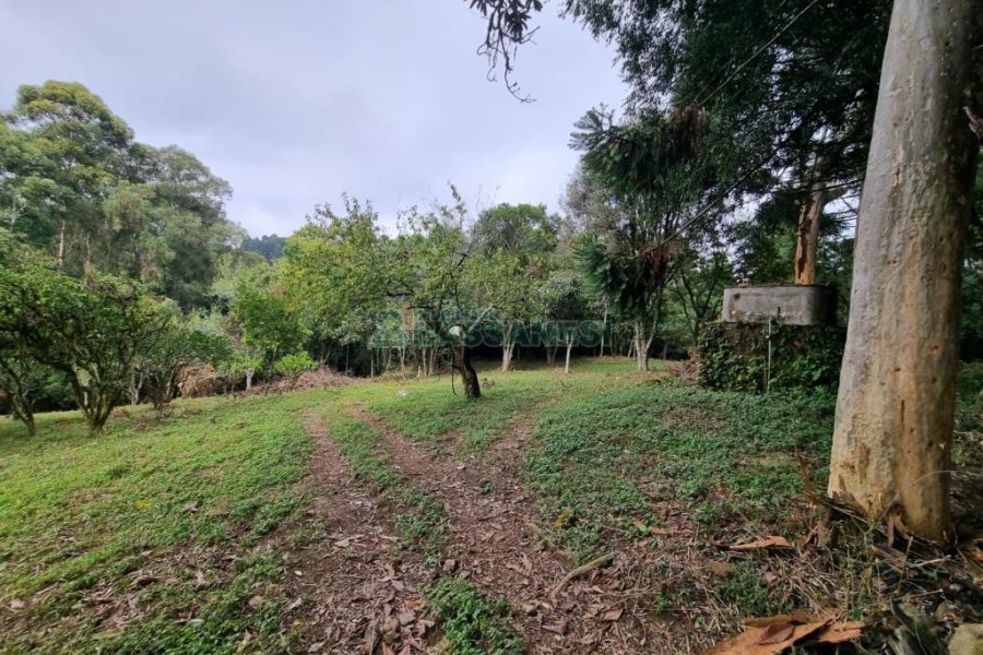 Chácara com 80m², 2 dormitórios, no bairro 3 Legua em Caxias do Sul para Comprar