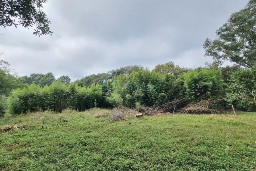 Chácara com 80m², 2 dormitórios, no bairro 3 Legua em Caxias do Sul para Comprar