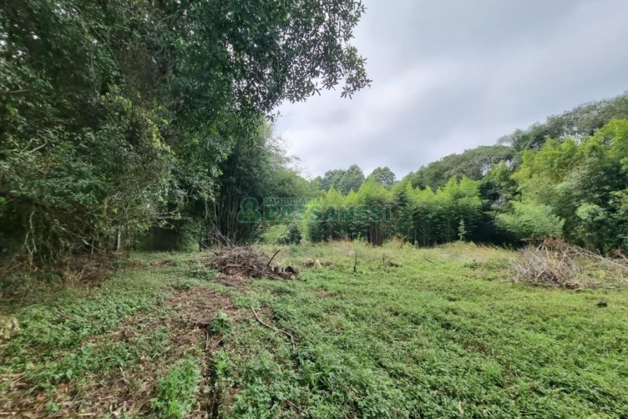 Chácara com 80m², 2 dormitórios, no bairro 3 Legua em Caxias do Sul para Comprar