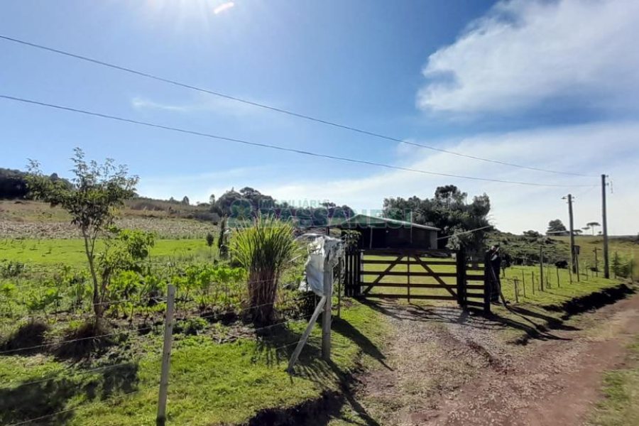 Terreno com 100m², no bairro Criúva em Caxias do Sul para Comprar