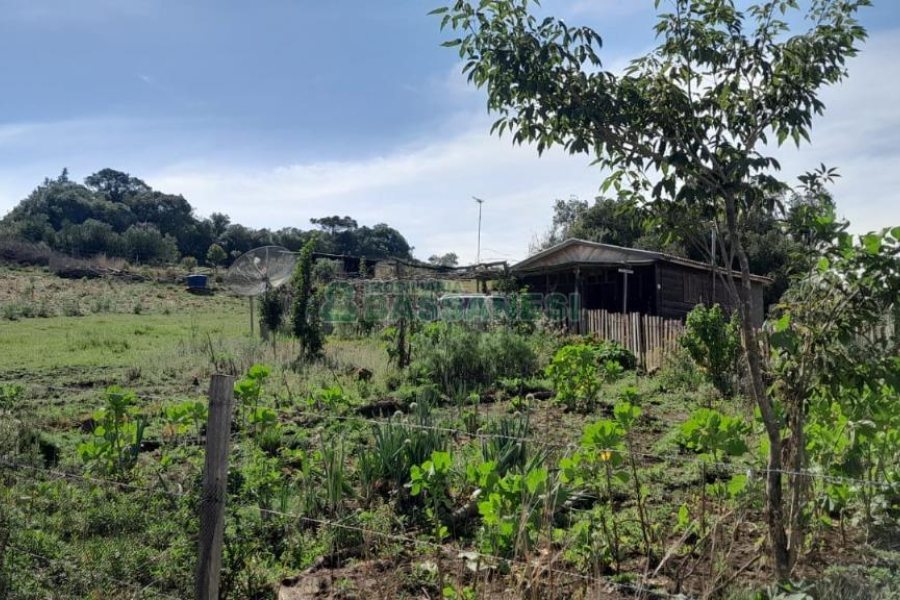 Terreno com 100m², no bairro Criúva em Caxias do Sul para Comprar
