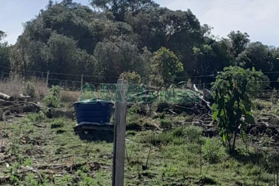 Terreno com 100m², no bairro Criúva em Caxias do Sul para Comprar