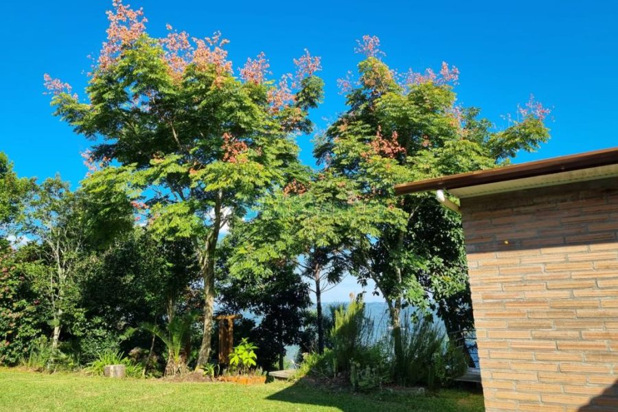 Chácara com 600m², 5 dormitórios, 2 vagas, no bairro Galópolis em Caxias do Sul para Comprar