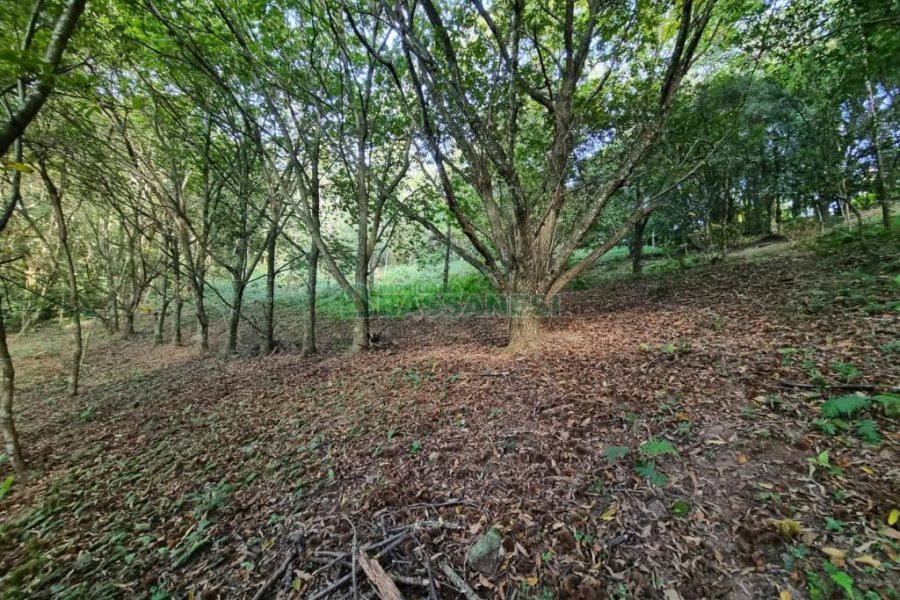 Chácara com 600m², 5 dormitórios, 2 vagas, no bairro Galópolis em Caxias do Sul para Comprar