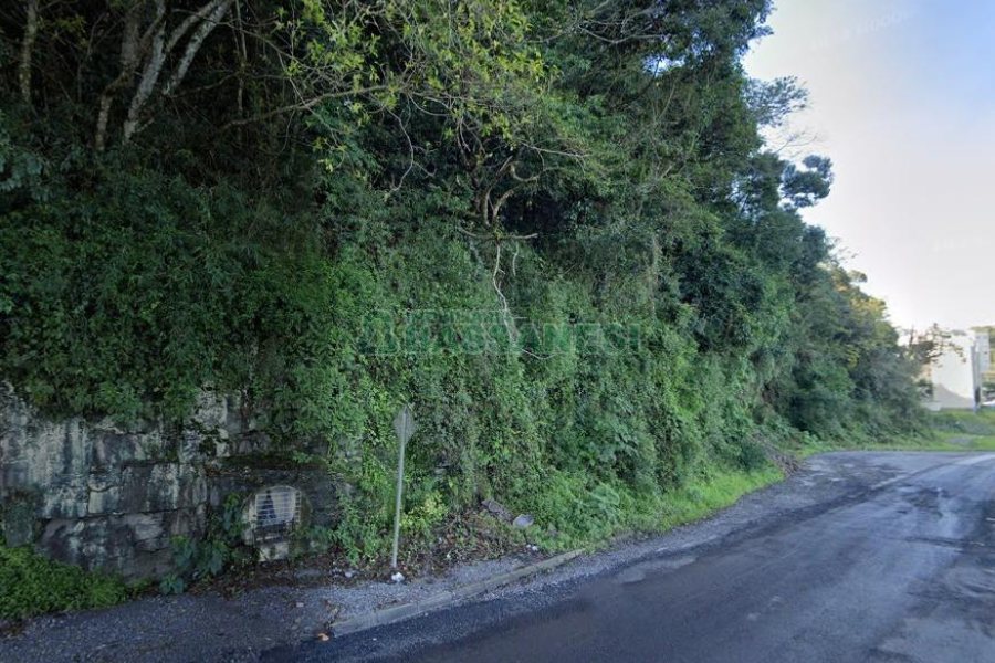 Terreno com 43000m², no bairro Nossa Senhora das Graças em Caxias do Sul para Comprar