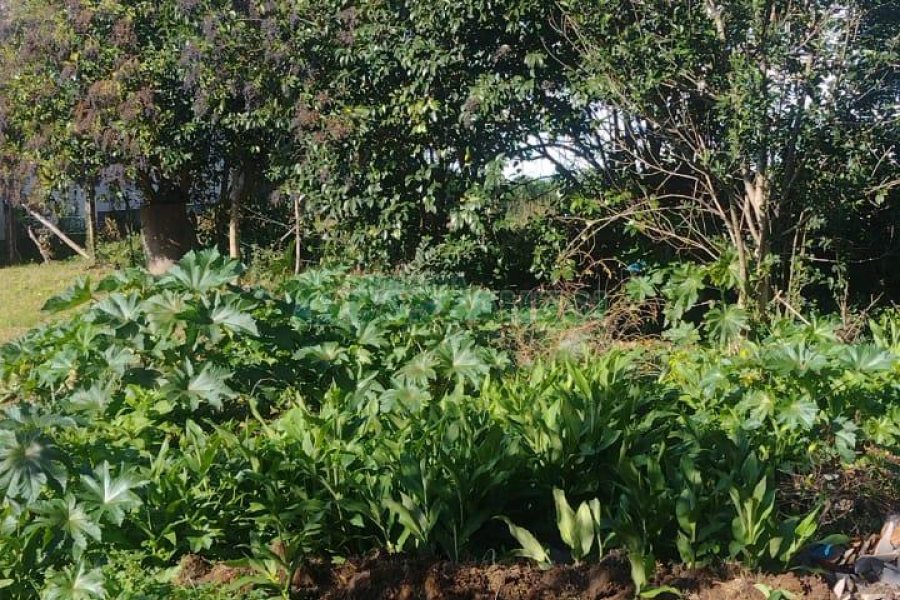 Terreno com 898m², no bairro Bela Vista em Caxias do Sul para Comprar