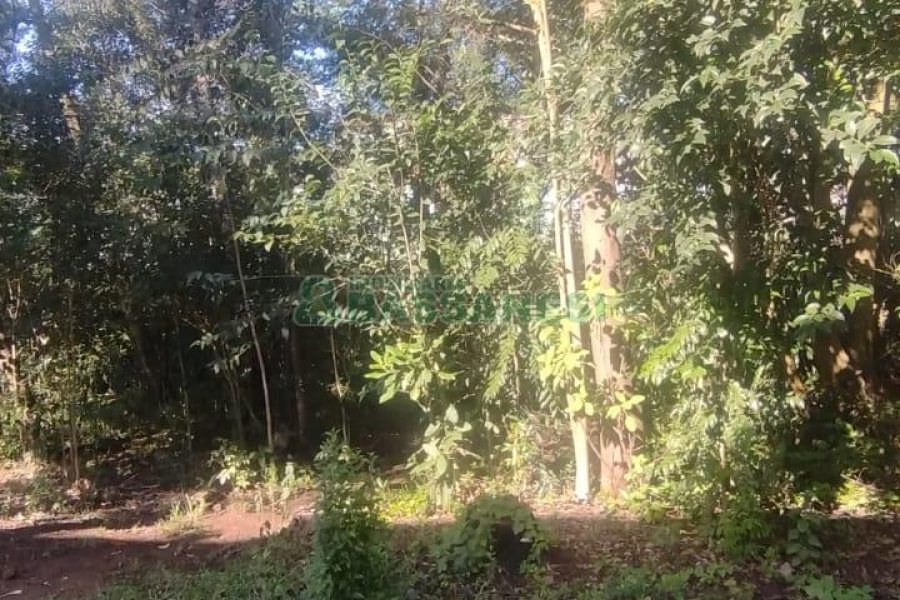 Terreno com 898m², no bairro Bela Vista em Caxias do Sul para Comprar