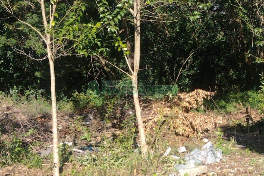 Terreno com 898m², no bairro Bela Vista em Caxias do Sul para Comprar