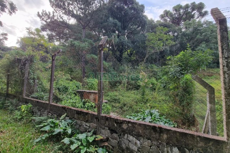 Terreno com 20413m², no bairro Pedancino em Caxias do Sul para Comprar