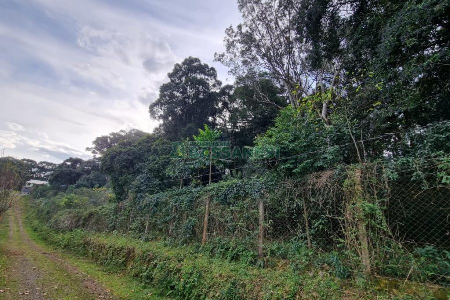 Terreno com 20413m², no bairro Pedancino em Caxias do Sul para Comprar