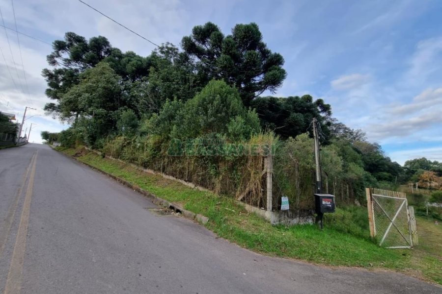 Terreno com 20413m², no bairro Pedancino em Caxias do Sul para Comprar