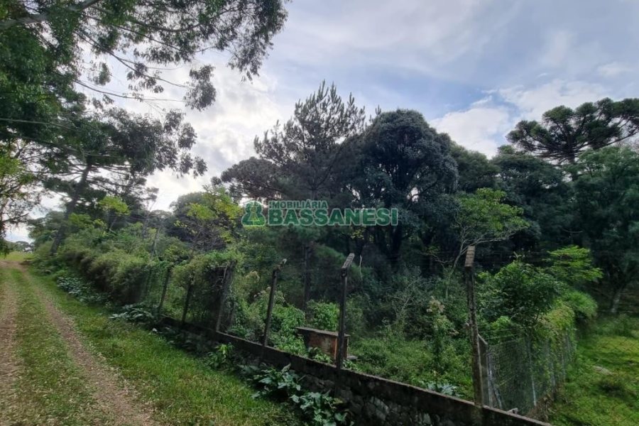 Terreno com 20413m², no bairro Pedancino em Caxias do Sul para Comprar