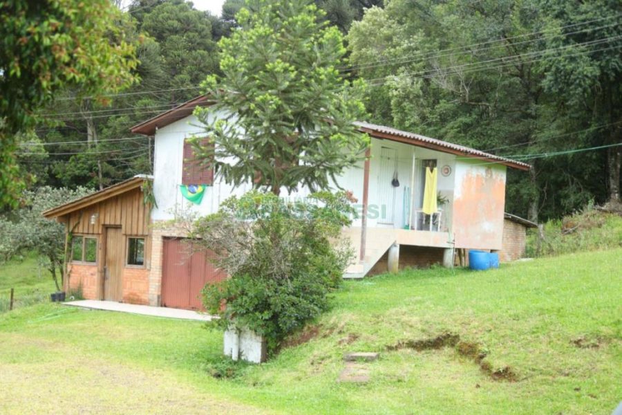 Chácara com 21896m², 2 dormitórios, no bairro Pedancino em Caxias do Sul para Comprar