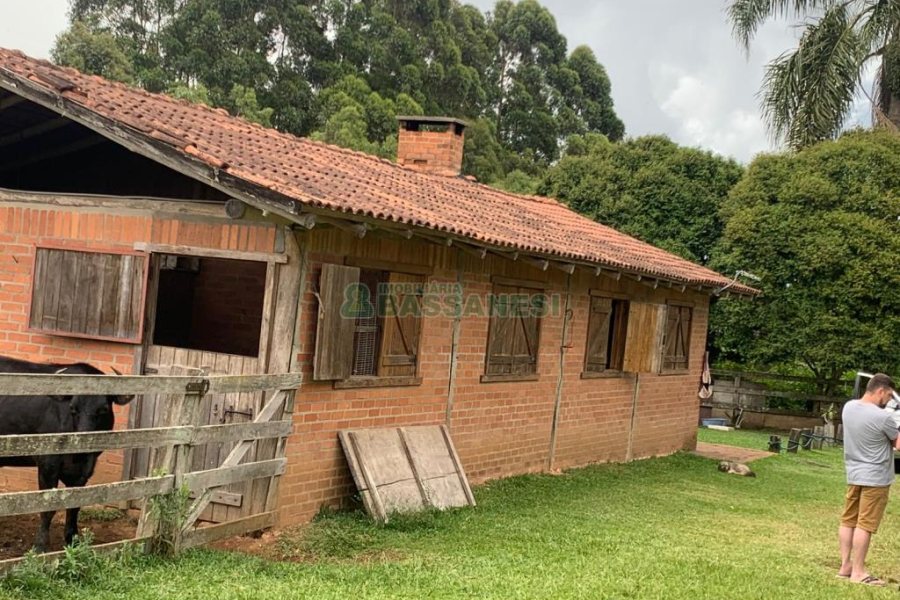 Chácara com 21896m², 2 dormitórios, no bairro Pedancino em Caxias do Sul para Comprar