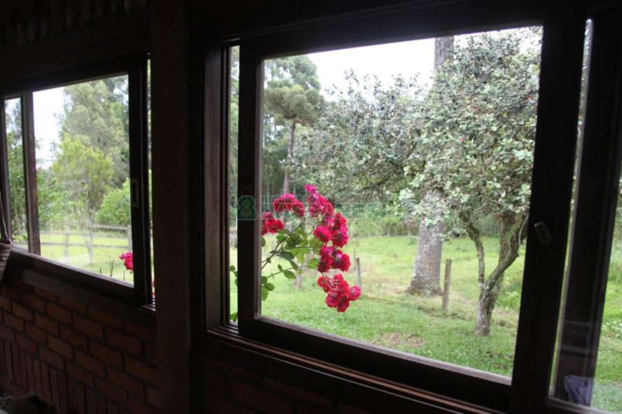 Chácara com 21896m², 2 dormitórios, no bairro Pedancino em Caxias do Sul para Comprar