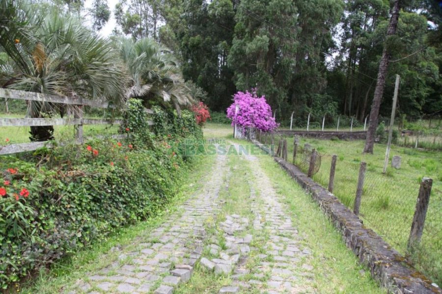 Chácara com 21896m², 2 dormitórios, no bairro Pedancino em Caxias do Sul para Comprar