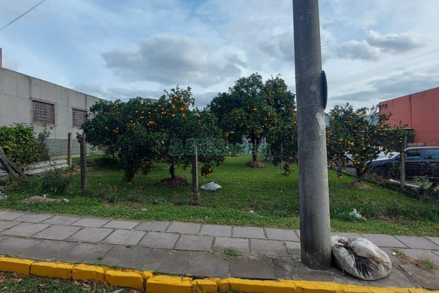 Terreno com 660m², no bairro Desvio Rizzo em Caxias do Sul para Comprar