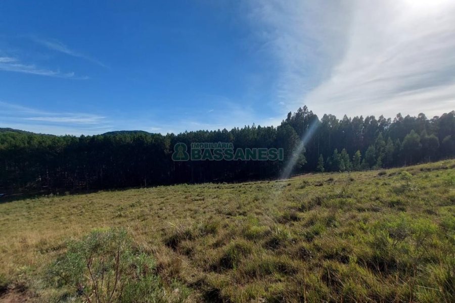 Terreno, no bairro Fazenda Souza em Caxias do Sul para Comprar