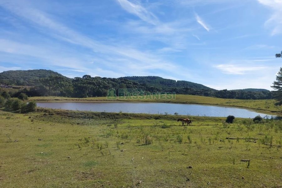 Terreno, no bairro Fazenda Souza em Caxias do Sul para Comprar