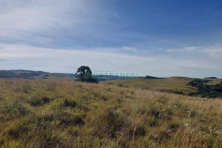 Terreno, no bairro Fazenda Souza em Caxias do Sul para Comprar