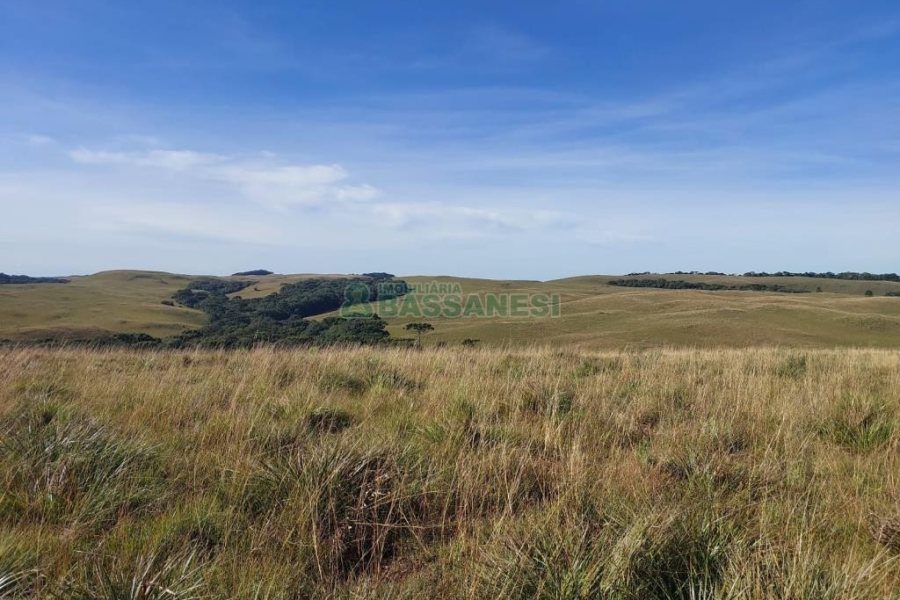 Terreno, no bairro Fazenda Souza em Caxias do Sul para Comprar