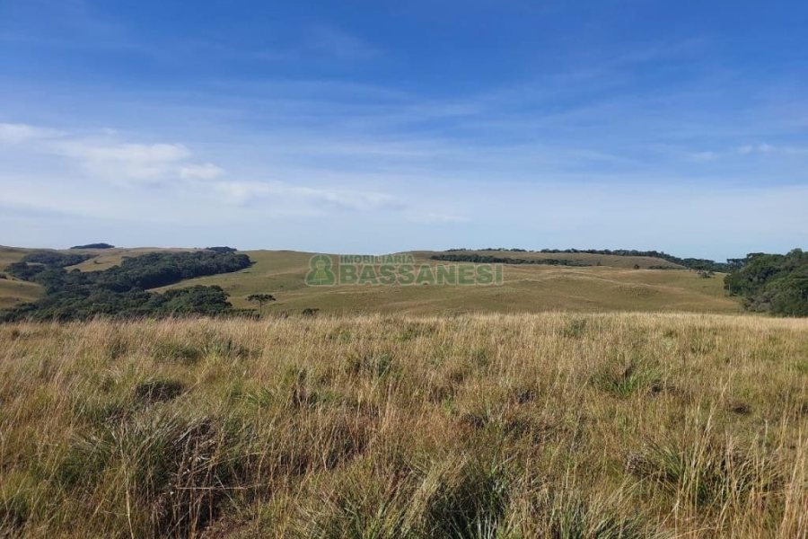 Terreno, no bairro Fazenda Souza em Caxias do Sul para Comprar