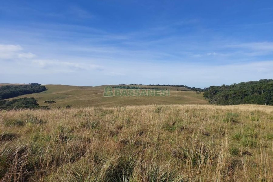Terreno, no bairro Fazenda Souza em Caxias do Sul para Comprar