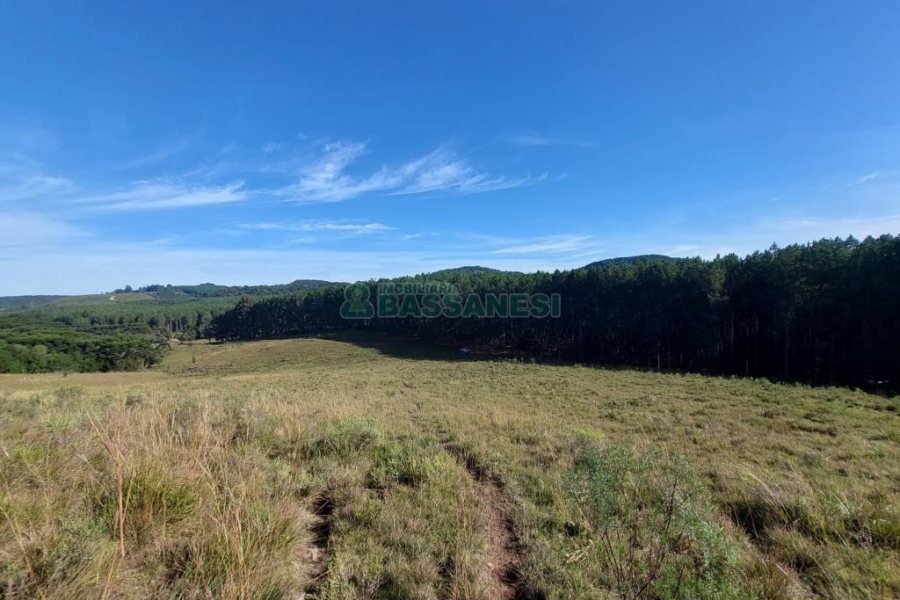 Terreno, no bairro Fazenda Souza em Caxias do Sul para Comprar