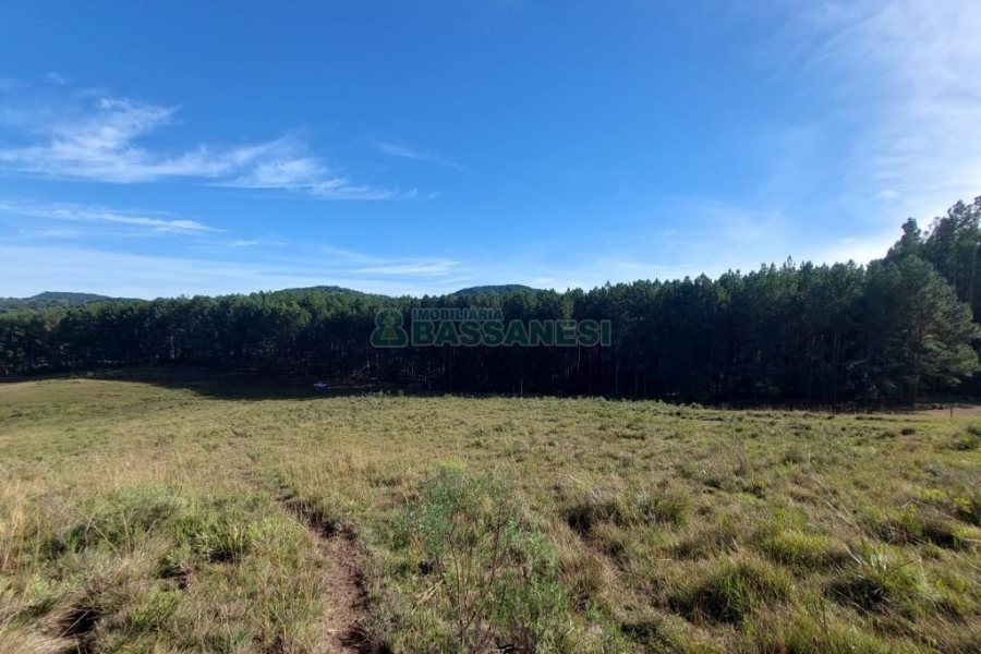 Terreno, no bairro Fazenda Souza em Caxias do Sul para Comprar