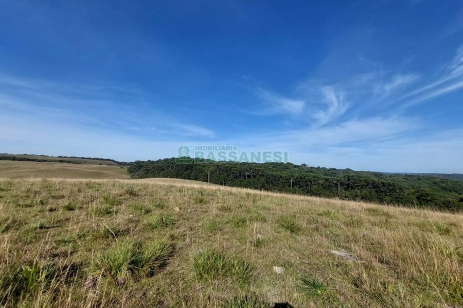 Terreno, no bairro Fazenda Souza em Caxias do Sul para Comprar