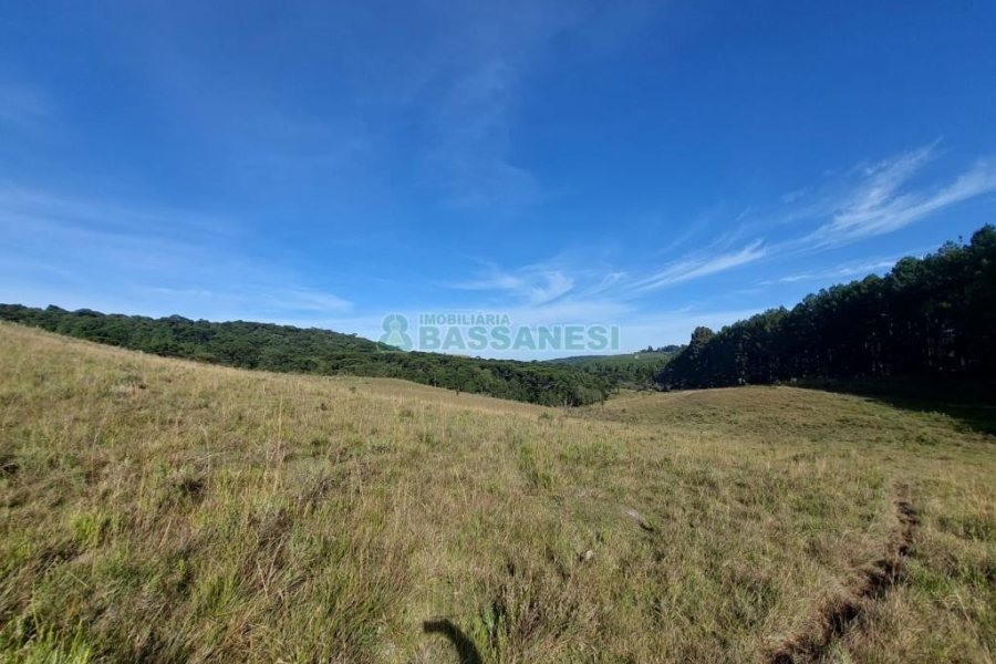 Terreno, no bairro Fazenda Souza em Caxias do Sul para Comprar